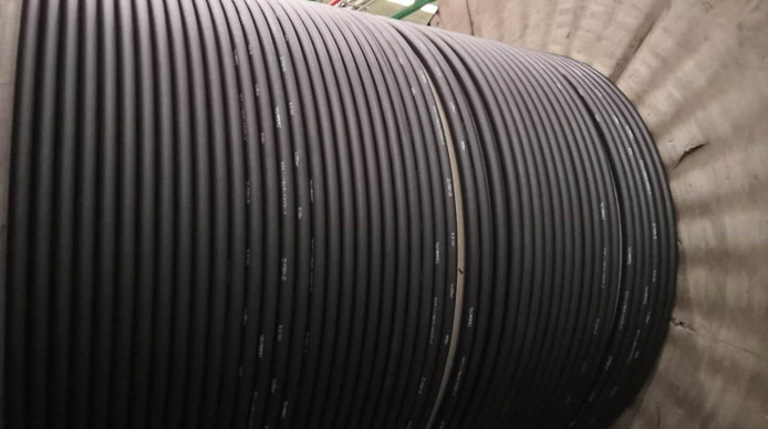 Mold resistant cable